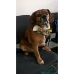 Image 2 of customer photos