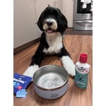 Image 6 of customer photos