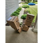 Image 3 of customer photos