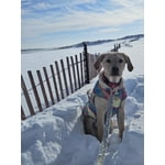 Image 3 of customer photos