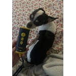 Image 2 of customer photos