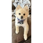 Image 6 of customer photos