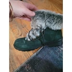 Image 1 of customer photos