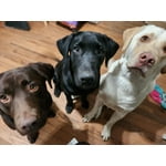 Image 1 of customer photos