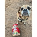 Image 7 of customer photos