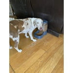 Image 5 of customer photos