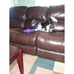 Image 3 of customer photos