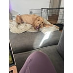 Image 5 of customer photos