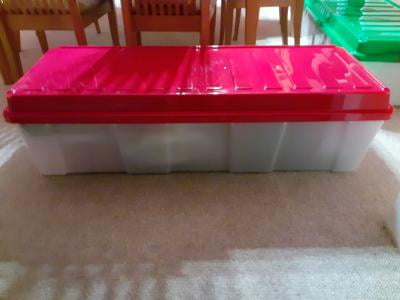 iris tree storage tote green lid