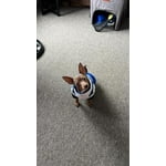 Image 1 of customer photos