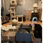 Image 6 of customer photos