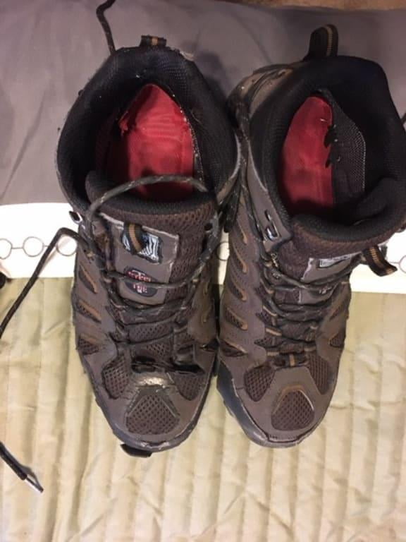 skechers blais bixford