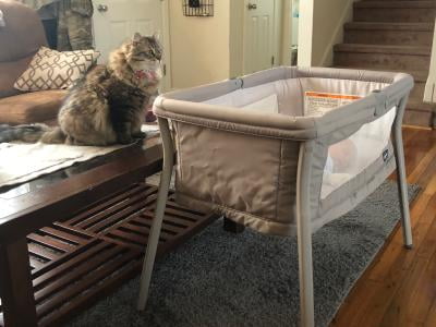 chicco bassinet cover