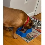 Image 4 of customer photos