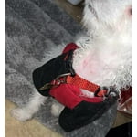 Image 4 of customer photos