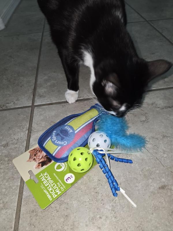 Vibrant Life Pickleball Cat Toys with Catnip 3 Pack including plush paddle  and feathered balls - Walmart.com