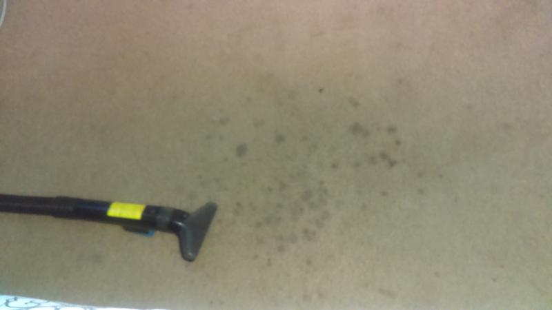 Oxiclean Large Area Carpet Cleaner 64 Oz Walmart Com Walmart Com