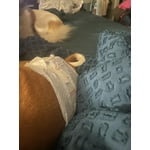 Image 5 of customer photos