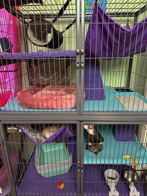 MidWest Homes for Pets Ferret/Critter Nation Accessory Kit 2 for