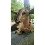 Image 2 of customer photos