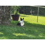 Image 2 of customer photos