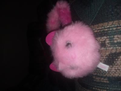 pomsies pet blossom