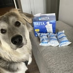 Image 7 of customer photos