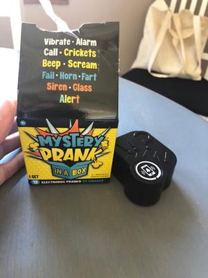 Mystery Prank In A Box 2024 favors