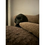 Image 5 of customer photos