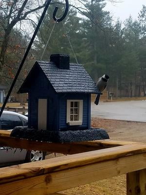 North States Blue Cottage Bird Feeder Walmart Com
