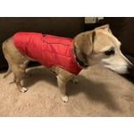 Image 7 of customer photos