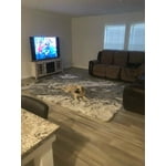 Image 1 of customer photos