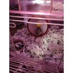 Image 4 of customer photos