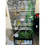 Image 3 of customer photos