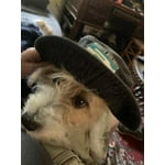 Image 5 of customer photos