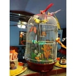 Image 2 of customer photos