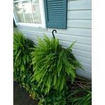 Image 7 of customer photos