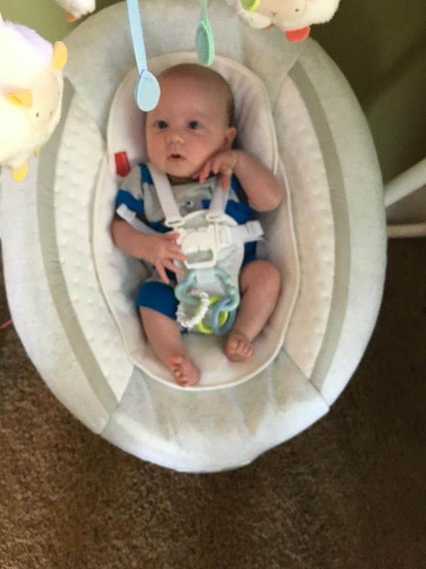 Princess infant swing sale