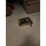 Image 6 of customer photos