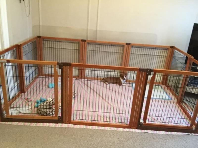 richell 6 panel pet gate