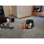 Image 7 of customer photos