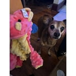 Image 2 of customer photos