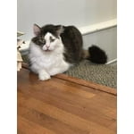 Image 2 of customer photos