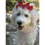 Image 7 of customer photos