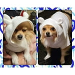 Image 6 of customer photos