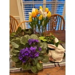 Image 7 of customer photos