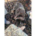 Image 4 of customer photos