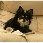 Image 3 of customer photos