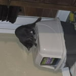 Image 5 of customer photos