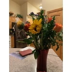 Image 1 of customer photos